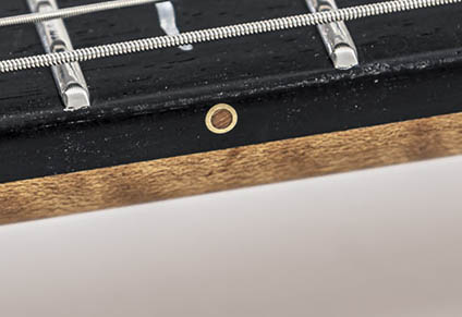 BRASS SIDE DOTS