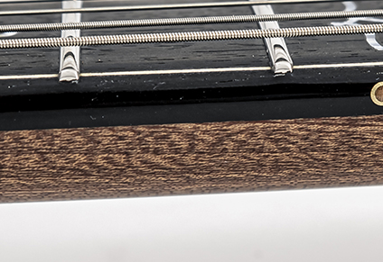 STAINLESS STEEL FRETS