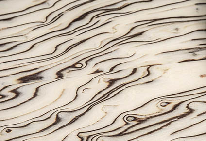 EXOTIC BIRCH BURL TOP