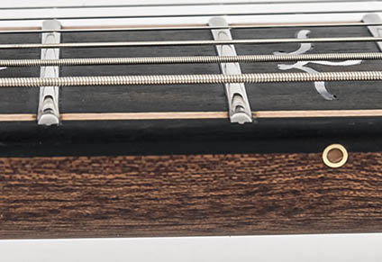 STAINLESS STEEL FRETS