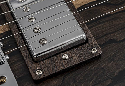 MAHOGANY PICKUP RINGS
