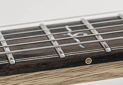 STAINLESS STEEL FRETS